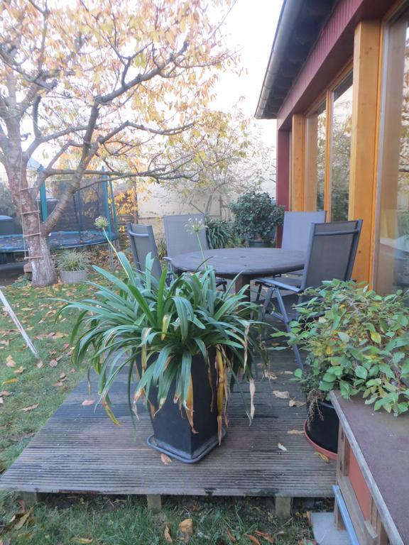 Gartenhaus Klotzsche Dresden Ngoại thất bức ảnh