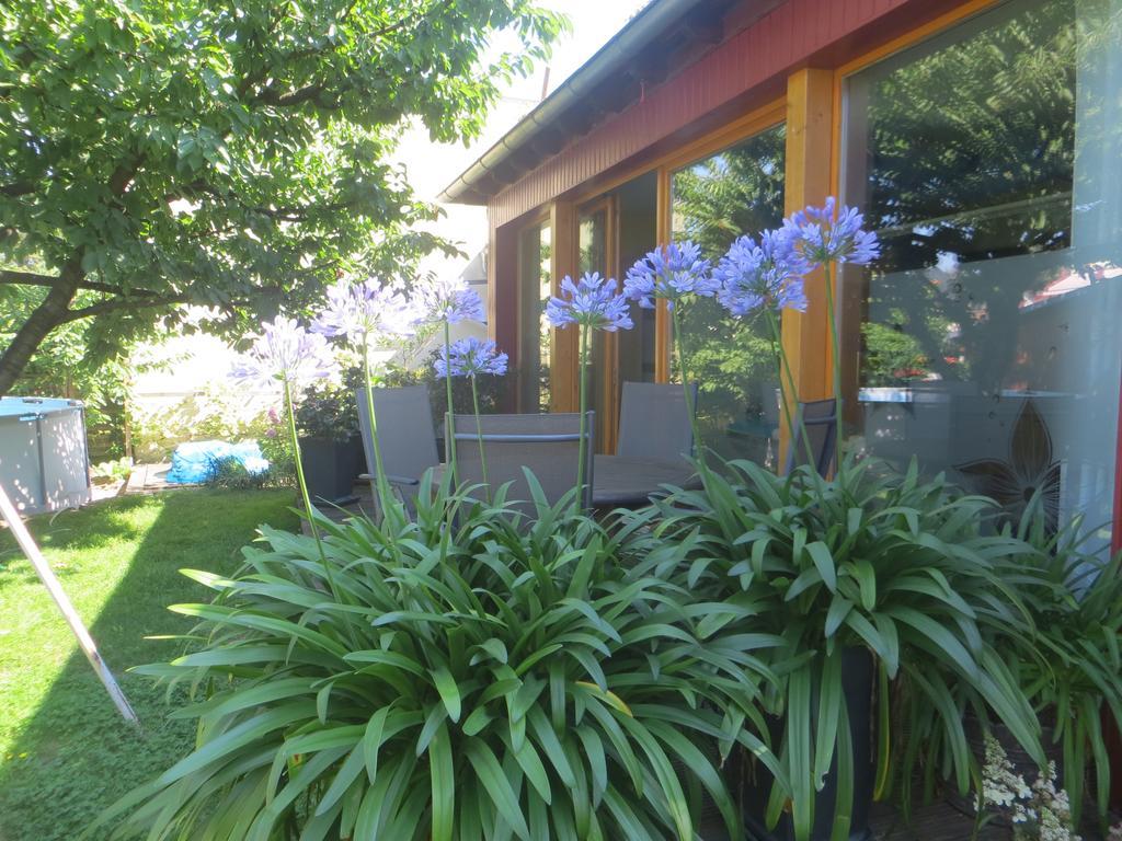 Gartenhaus Klotzsche Dresden Ngoại thất bức ảnh